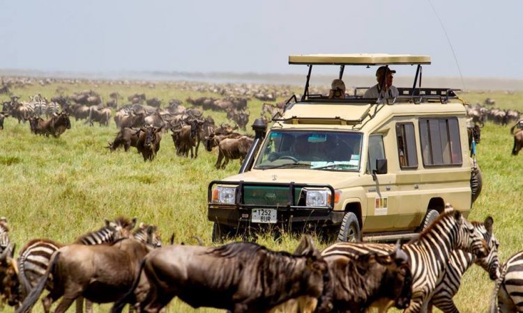 Activities-in-Lake-Manyara-NP