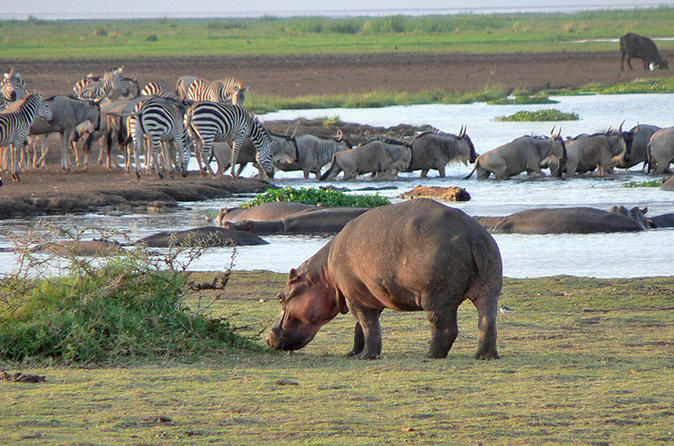 Lake-Manyara-National