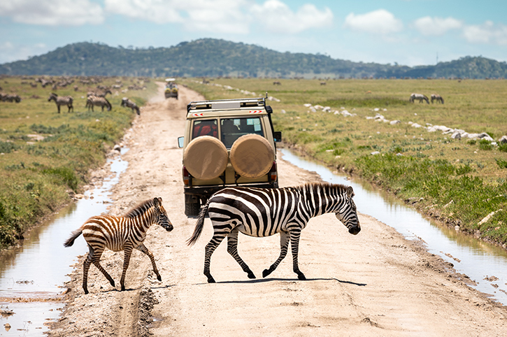 Serengeti NP