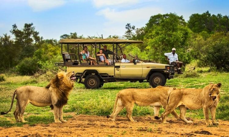 DarlingtonSafaris-Ngorongoro