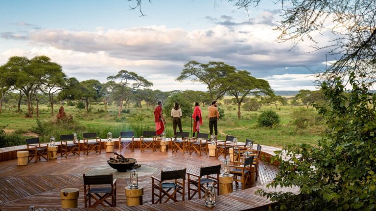 DarlingtonSafaris-Tarangire-gameview
