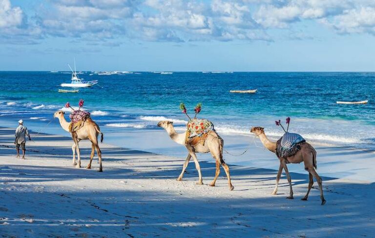 Darlingtonsafaris-diani Beach