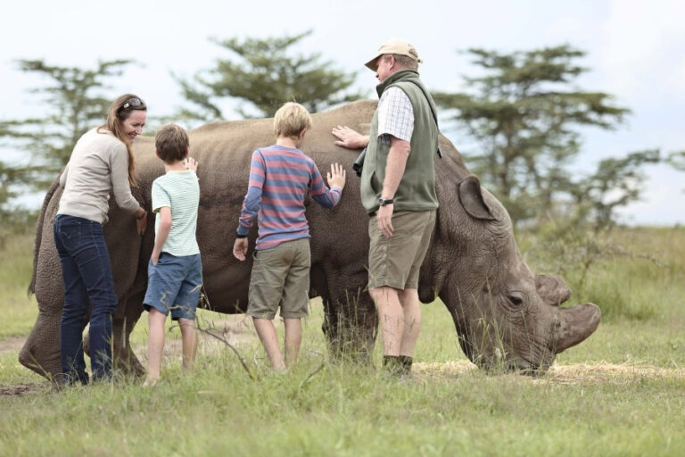 darlingtonsafaris-Ol-Pejeta-Bush