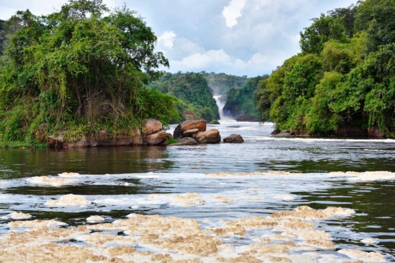 9-Days-Uganda-Safari